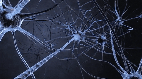 Brain with Neural Network
